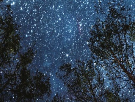 Editoriale - immagine in evidenza