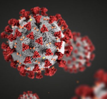 Reagire al coronavirus - immagine in evidenza