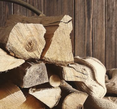 Biomasse polveri sottili immagine in evidenza