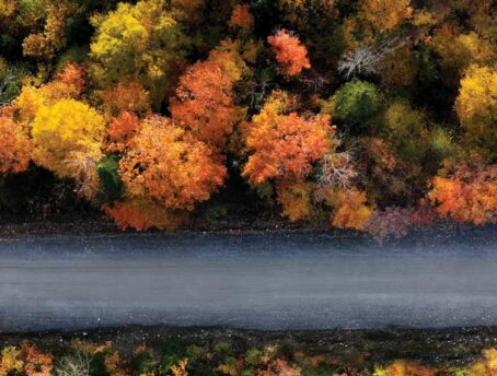 Settembre andiamo, è tempo di riscaldare... a legna!