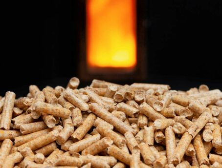 Prospettive di sviluppo per l'industria del pellet_4754